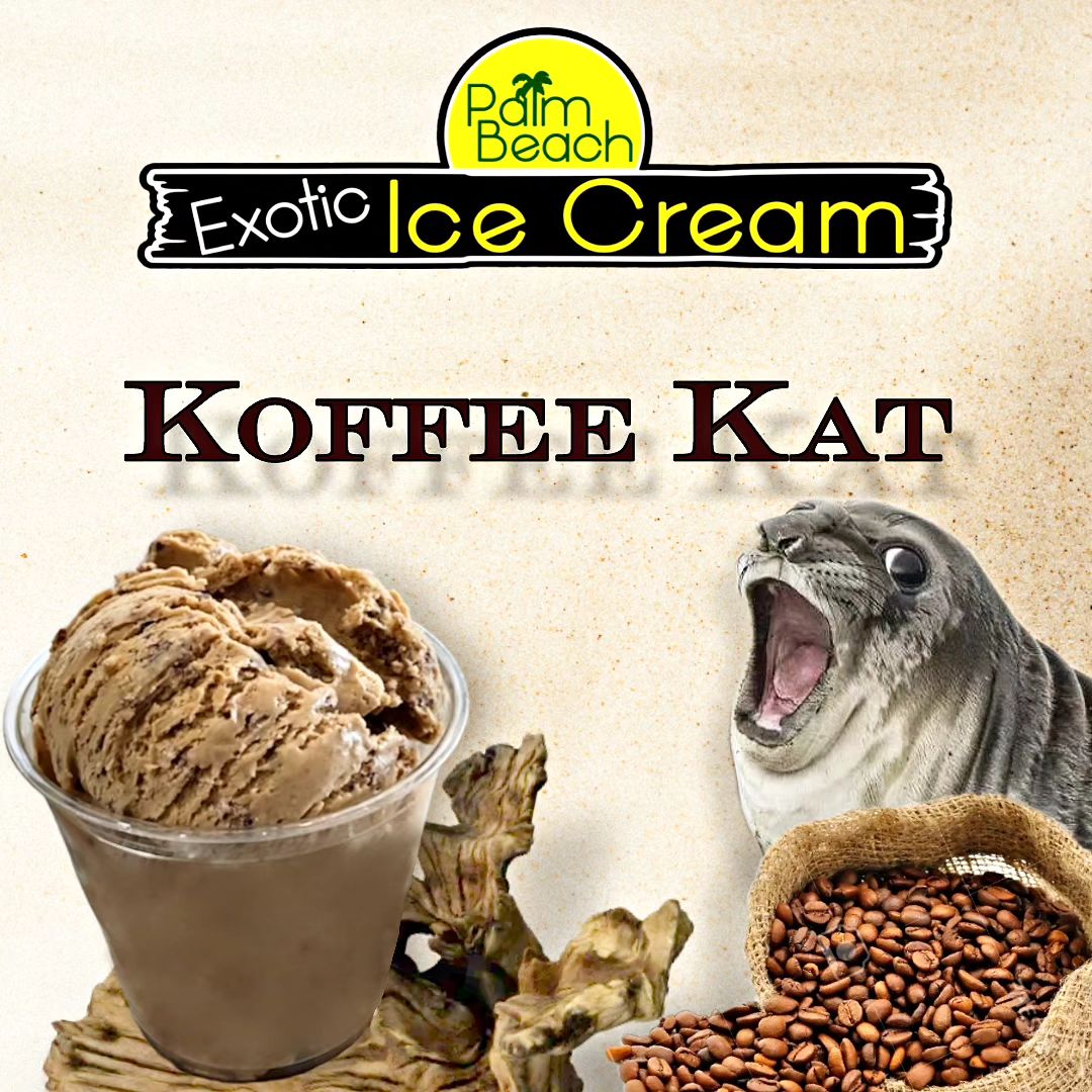 Koffee Kat